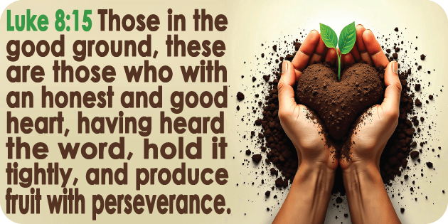 Luke 8 15