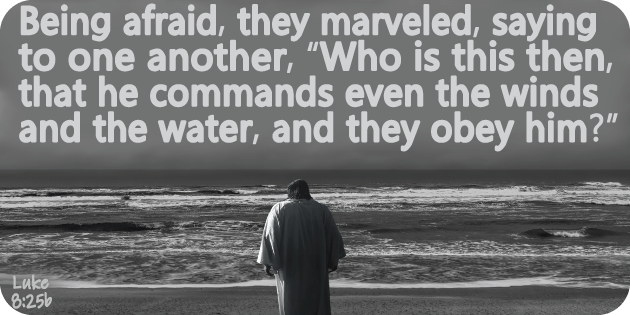 Luke 8 25b