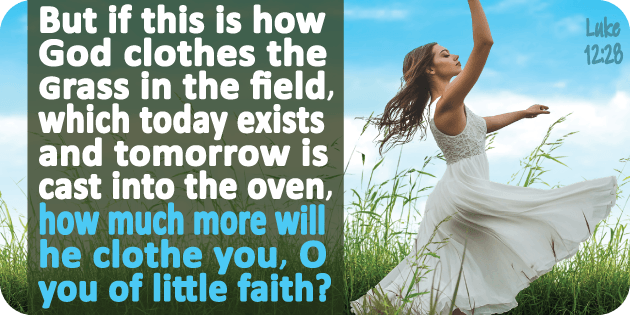 Luke 12 28
