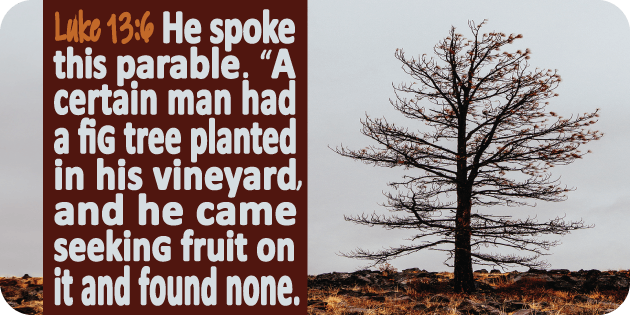 Luke 13 6