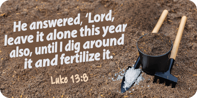 Luke 13 8