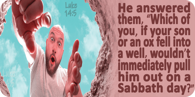 Luke 14 5