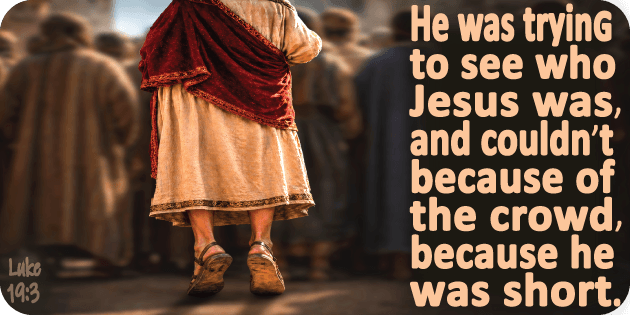 Luke 19 3