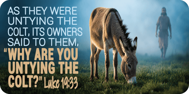 Luke 19 33