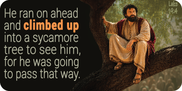 Luke 19 4