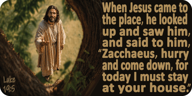 Luke 19 5