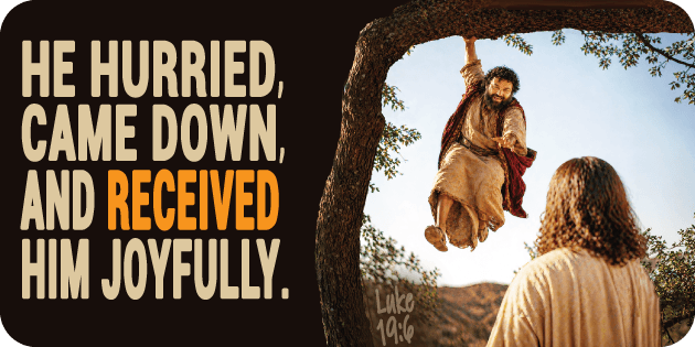 Luke 19 6