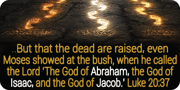 Luke 20 37