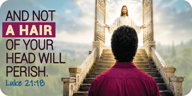Luke 21 18