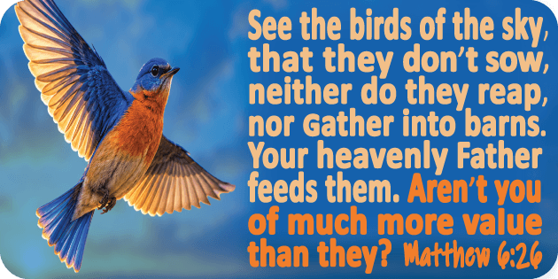 Matthew 6 26