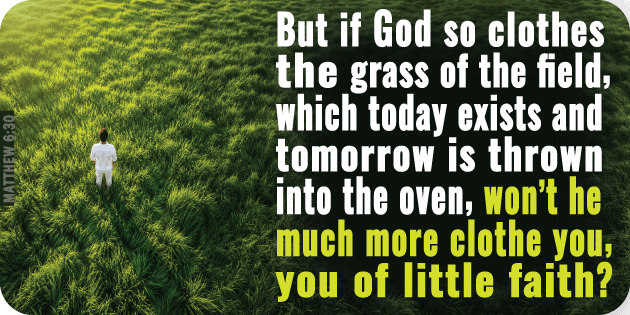 Matthew 6 30
