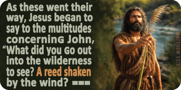 Matthew 11 7