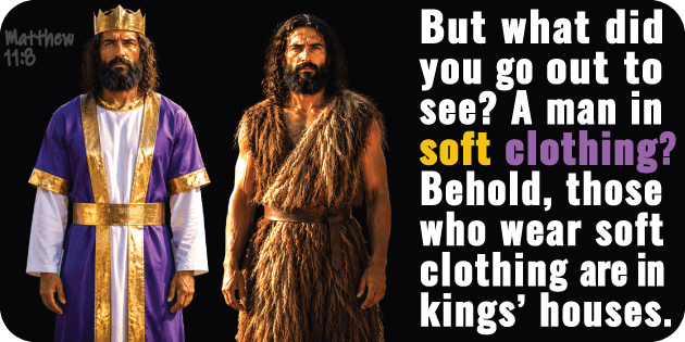 Matthew 11 8