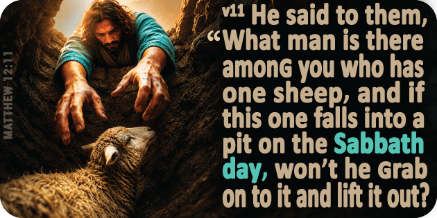 Matthew 12 11