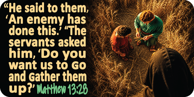 Matthew 13 28