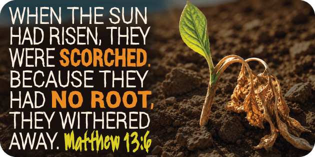 Matthew 13 6