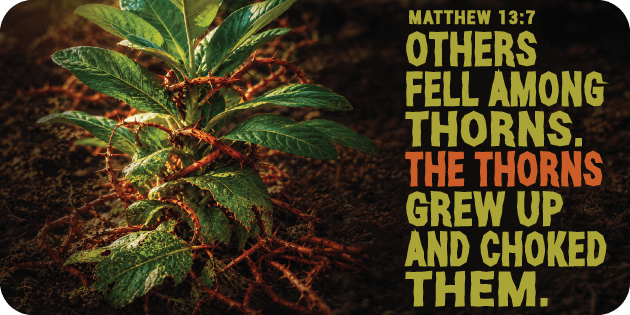 Matthew 13 7