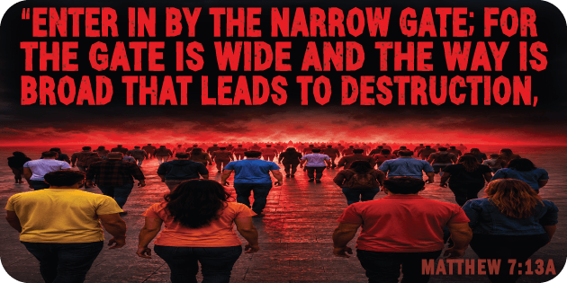 Matthew 7 13a