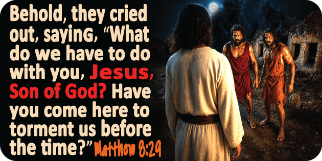 Matthew 8 29