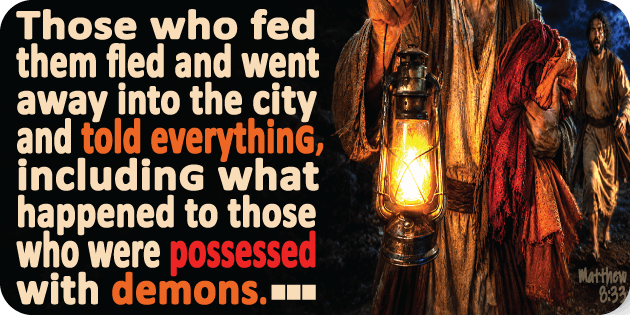 Matthew 8 33
