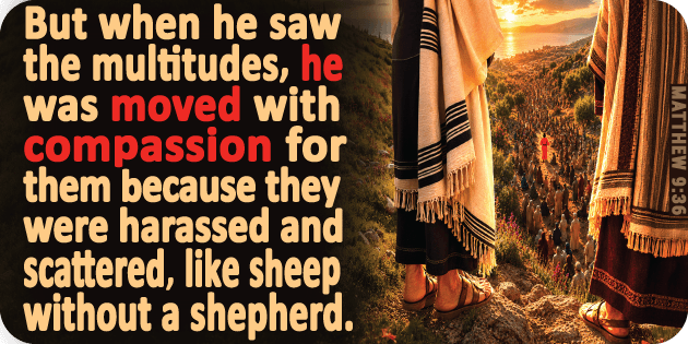 Matthew 9 36