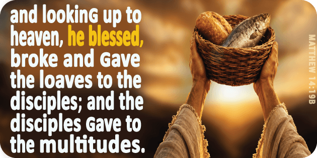 Matthew 14 19b