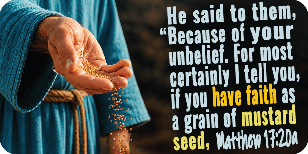 Matthew 17 20a