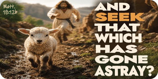 Matthew 18 12b