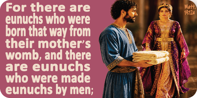 Matthew 19 12a