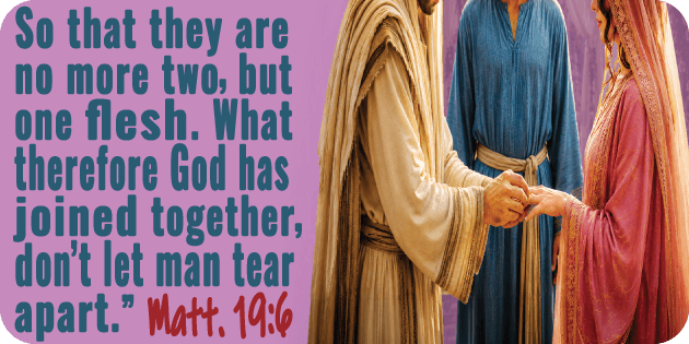 Matthew 19 6