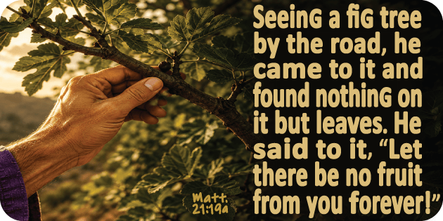Matthew 21 19a