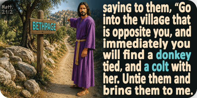 Matthew 21 2
