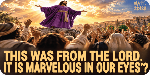 Matthew 21 42b