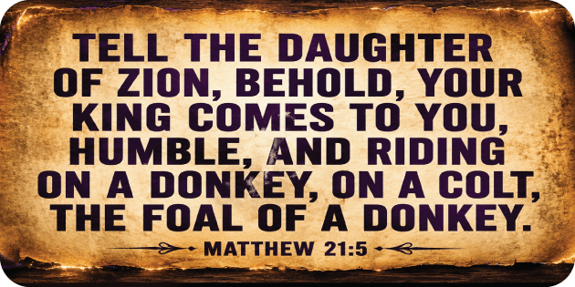 Matthew 21 5