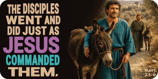 Matthew 21 6