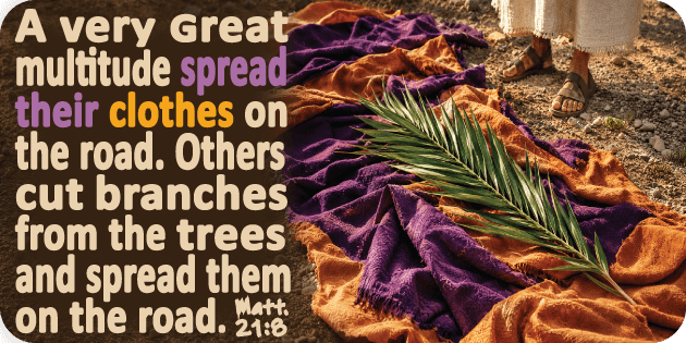 Matthew 21 8
