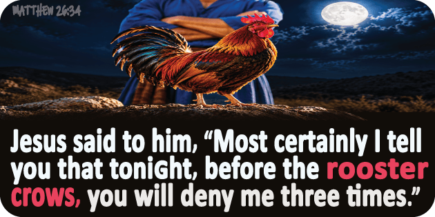 Matthew 26 34