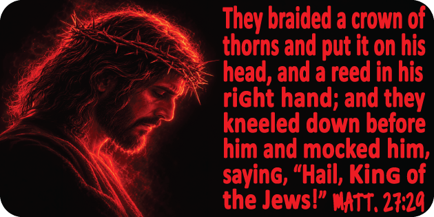 Matthew 27 29